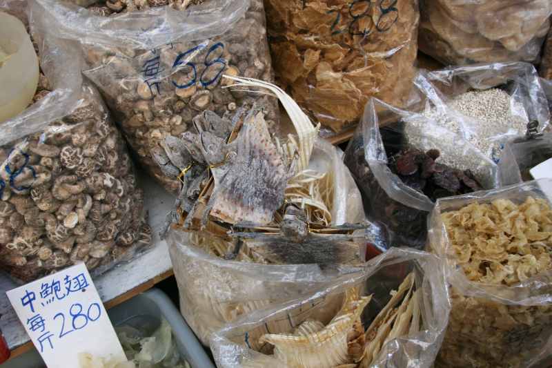 Nieuw-Zeeland 2011 - 0050